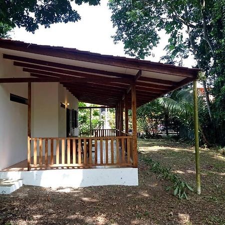 Green Papaya Vila Puerto Viejo de Talamanca Exterior foto