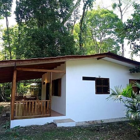 Green Papaya Vila Puerto Viejo de Talamanca Exterior foto