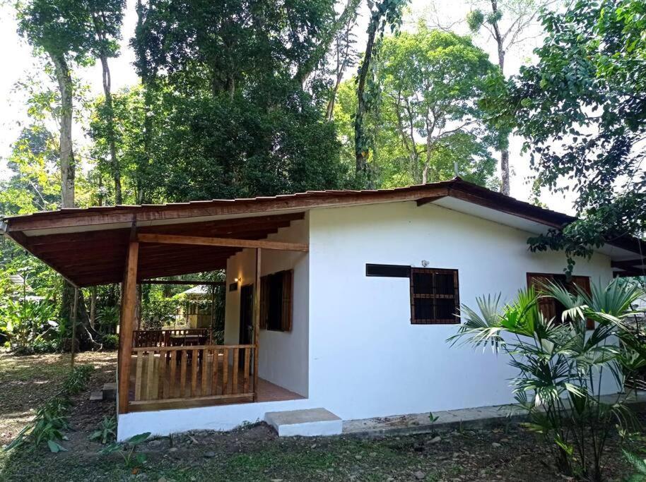 Green Papaya Vila Puerto Viejo de Talamanca Exterior foto